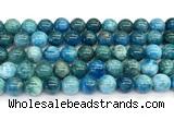 CAP757 15 inches 10mm round apatite gemstone beads wholesale