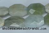 CAQ590 15.5 inches 15*20mm faceted freeform aquamarine beads