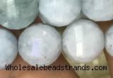 CAQ827 15.5 inches 10mm faceted round natural aquamarine beads