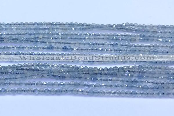 CAQ960 15 inches 2mm faceted round aquamarine beads