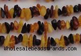 CAR204 24 inches 3*8mm natural amber chips beads wholesale