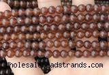 CAR231 15.5 inches 5mm - 5.5mm round natural amber beads wholesale