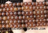 CAR237 15.5 inches 6mm - 7mm round natural amber beads wholesale