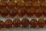 CAR526 15.5 inches 5mm - 6mm round natural amber beads wholesale