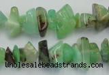 CAU407 15.5 inches 4*8mm - 6*14mm Australia chrysoprase chips beads