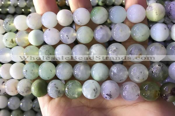 CAU463 15.5 inches 11mm - 12mm round Australia chrysoprase beads