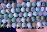 CAU469 15.5 inches 12mm round Australia chrysoprase beads