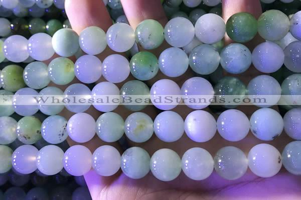 CAU474 15.5 inches 11mm round Australia chrysoprase beads