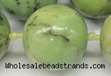 CAU544 15.5 inches 16mm round Australia chrysoprase gemstone beads