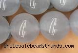 CBC734 15.5 inches 12mm round blue chalcedony beads wholesale