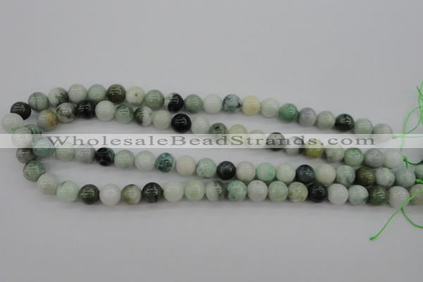 CBJ610 15.5 inches 10mm round jade beads wholesale