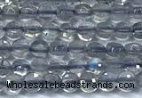 CCB1352 15 inches 2.5mm faceted coin labradorite beads