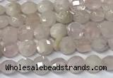 CCB1369 15 inches 4mm faceted coin morganite beads