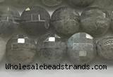 CCB706 15.5 inches 6mm faceted coin labradorite gemstone beads