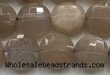 CCB725 15.5 inches 8mm faceted coin moonstone gemstone beads