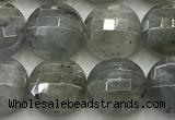 CCB726 15.5 inches 8mm faceted coin labradorite gemstone beads