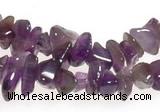 CCH12 35 inches purple amethyst chips gemstone beads wholesale