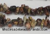 CCH204 34 inches 3*5mm red leopard skin jasper chips beads wholesale