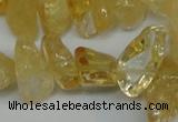 CCH292 34 inches 8*12mm citrine chips gemstone beads wholesale