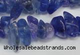 CCH294 34 inches 8*12mm dyed kyanite chips gemstone beads wholesale