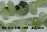 CCH318 15.5 inches 10*15mm prehnite chips gemstone beads wholesale