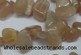 CCH321 15.5 inches 10*15mm moonstone chips gemstone beads wholesale