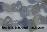 CCH322 15.5 inches 10*15mm blue chalcedony chips beads wholesale