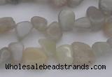 CCH625 15.5 inches 6*8mm - 10*14mm grey moonstone chips beads