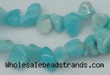 CCH631 15.5 inches 6*8mm - 10*14mm Peru amazonite chips beads