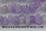 CCH648 15.5 inches 8*12mm - 10*14mm lavender amethyst chips beads