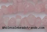 CCH654 15.5 inches 8*12mm - 10*14mm rose quartz chips beads