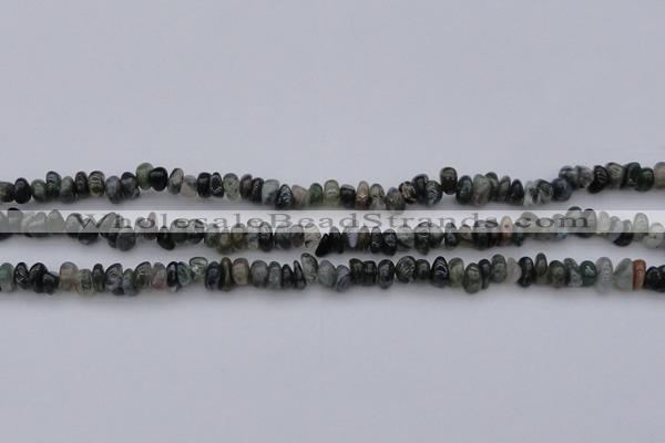 CCH663 15.5 inches 4*6mm - 5*8mm moss agate chips beads