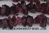 CCH704 15.5 inches 4*6mm - 6*8mm purple garnet chips beads