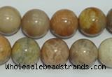 CCS307 15.5 inches 16mm round natural sunstone beads wholesale