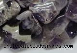 CDA06 15.5 inches 18*25mm rectangle dogtooth amethyst quartz beads