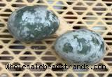 CDN351 35*50mm egg-shaped tree agate decorations wholesale