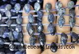 CDU221 Top drilled 8*12mm faceted briolette dumortierite beads