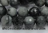 CEE22 15.5 inches 12mm faceted round eagle eye jasper beads wholesale