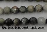 CEE353 15.5 inches 10mm faceted round eagle eye jasper beads