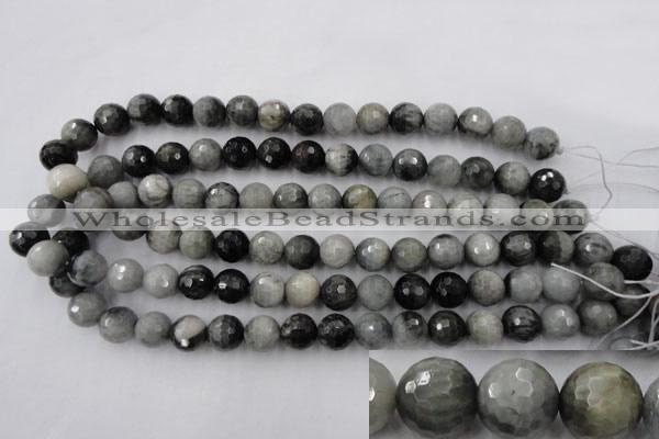 CEE354 15.5 inches 12mm faceted round eagle eye jasper beads