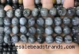 CEE544 15.5 inches 12mm round eagle eye jasper gemstone beads