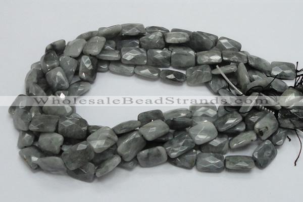 CEE59 15.5 inches 8*12mm faceted rectangle eagle eye jasper beads