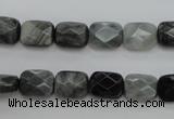 CEE80 15.5 inches 8*10mm faceted rectangle eagle eye jasper beads