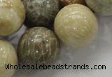 CFA05 15.5 inches 20mm round chrysanthemum agate gemstone beads