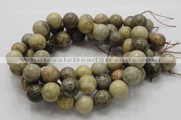 CFA05 15.5 inches 20mm round chrysanthemum agate gemstone beads