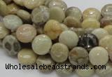 CFA06 15.5 inches 10mm flat round chrysanthemum agate gemstone beads