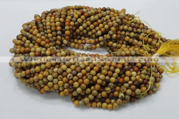 CFA31 15.5 inches 6mm round yellow chrysanthemum agate beads