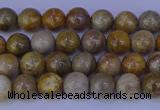 CFC200 15.5 inches 4mm round fossil coral beads wholesale