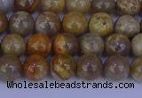 CFC201 15.5 inches 6mm round fossil coral beads wholesale