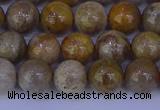 CFC202 15.5 inches 8mm round fossil coral beads wholesale